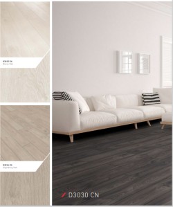 باركيه ارضيات HDF